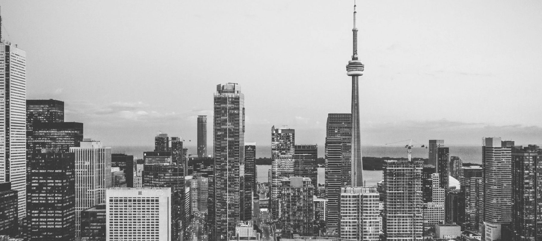 banner-1.jpg